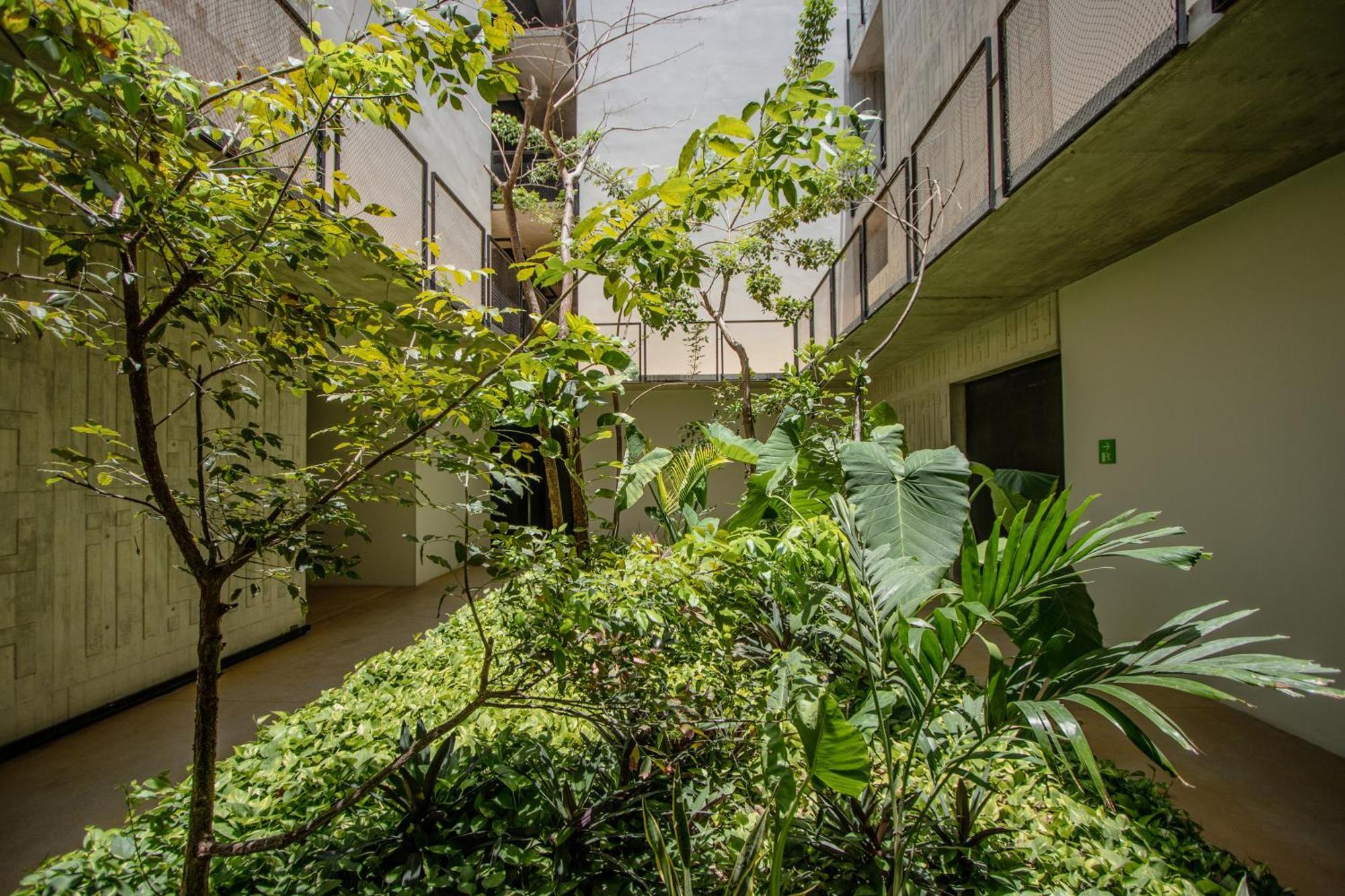 Depto De Lujo Con Plunge Pool Privada Apartment Tulum Exterior photo